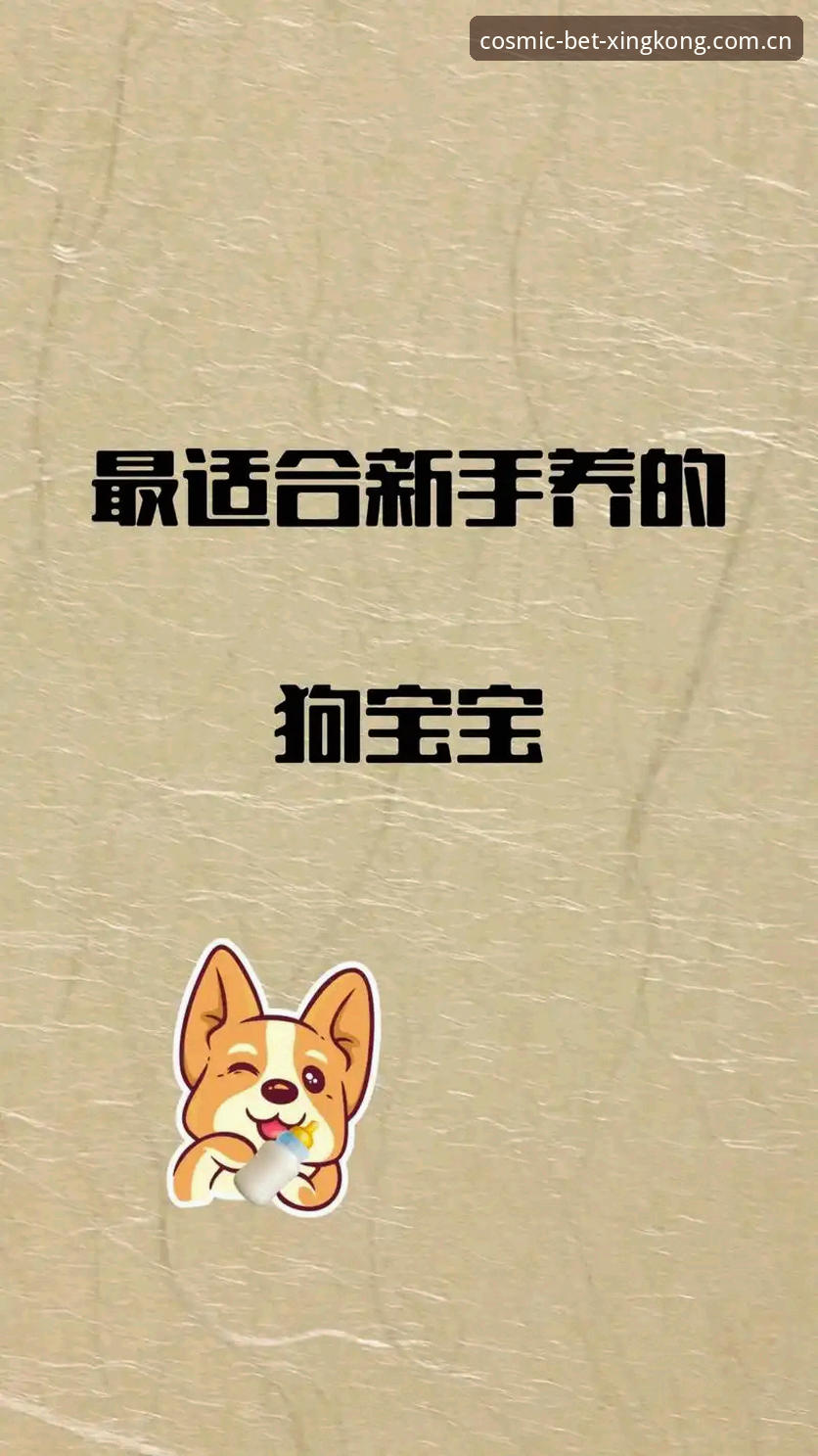 星空体育评价 星空体育平台新手上手指南:从注册到下载的完整使用攻略